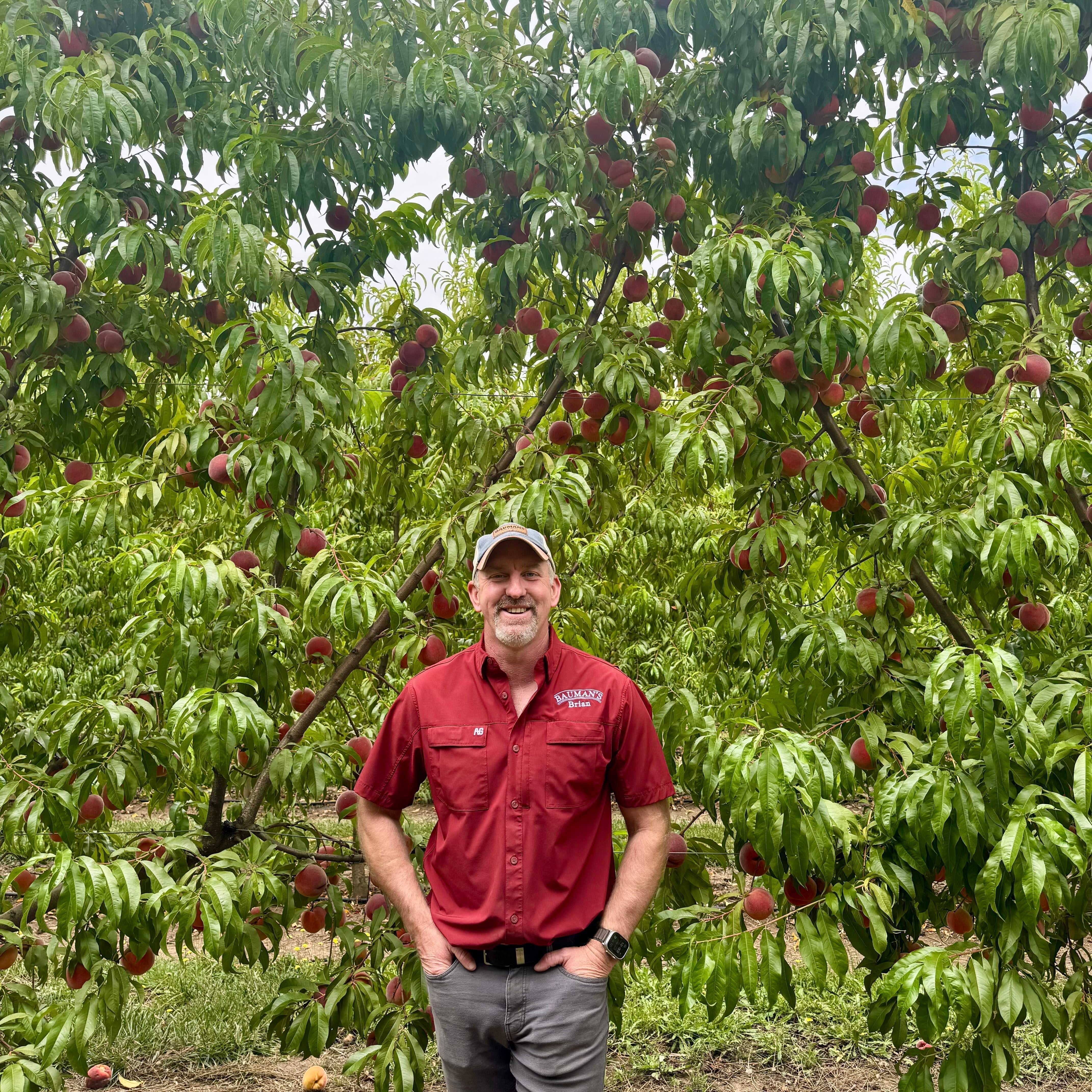 Bauman’s Farm and Oregon Fruit: Partners in Craft, Community, and Fruit