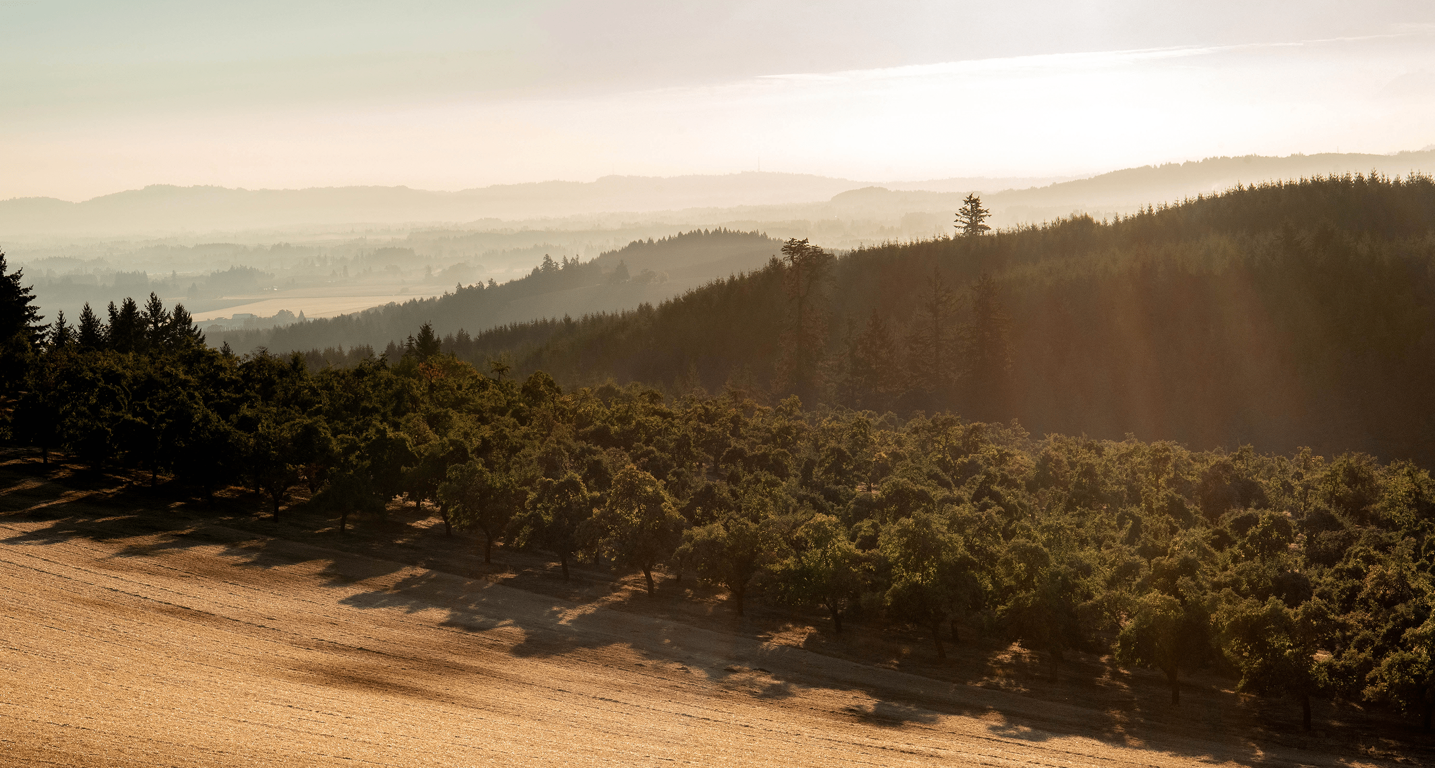 Oregon Fruit Orchards in the Willamette Valley