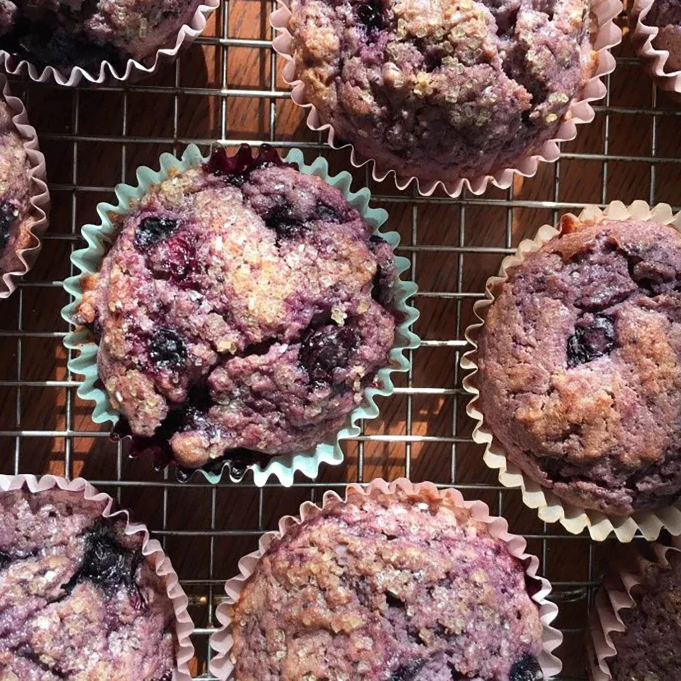 Blue Blueberry Muffins