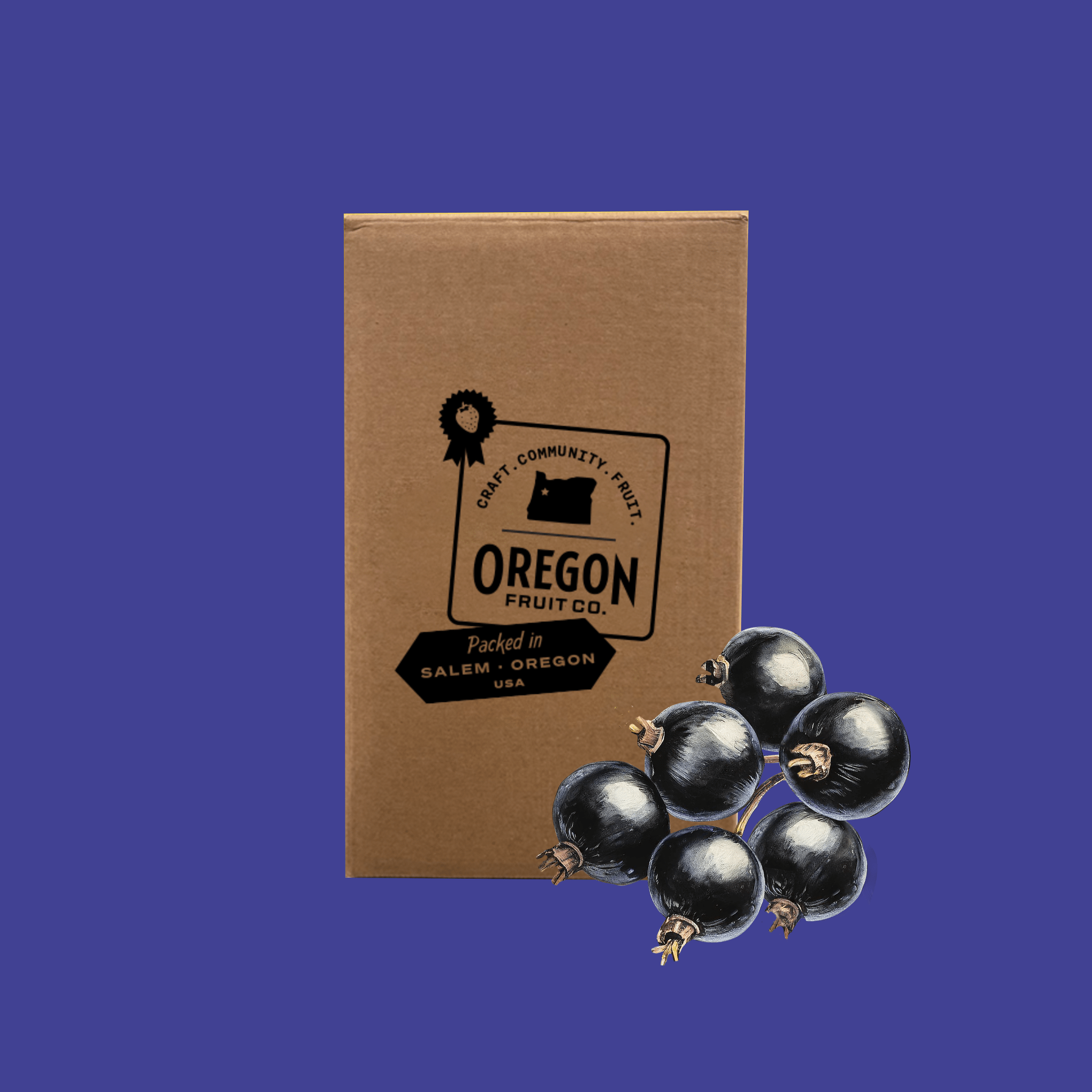 Black Currant Aseptic Puree