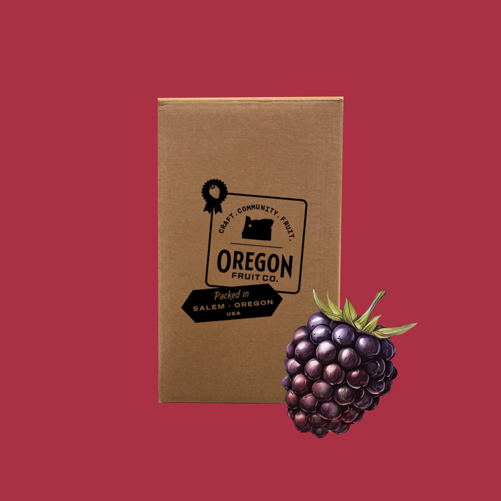 Boysenberry Aseptic Puree