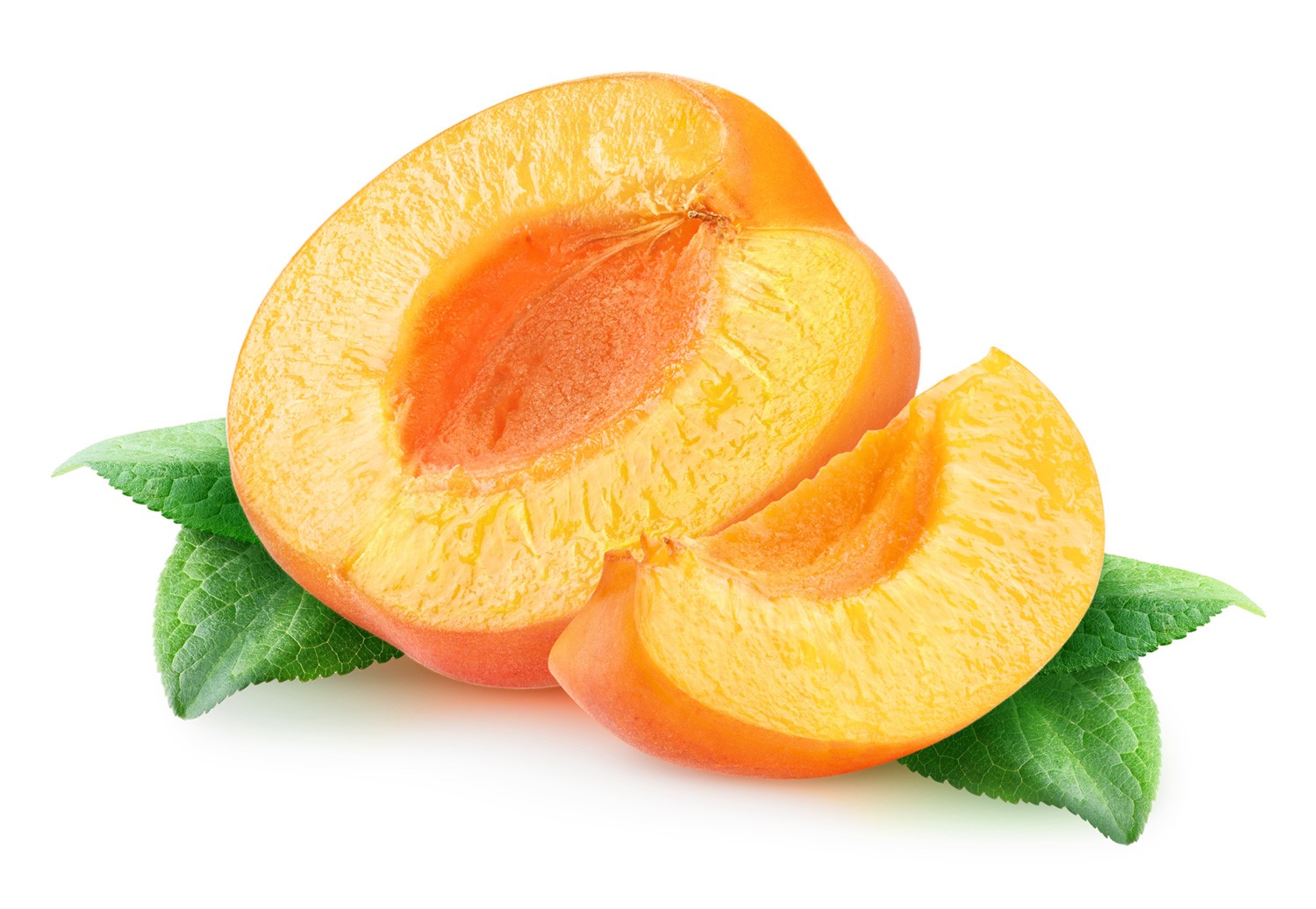 Apricot